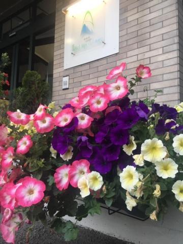 Hotel Alpi Del Mare Mondovì Eksteriør billede